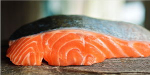 salmon