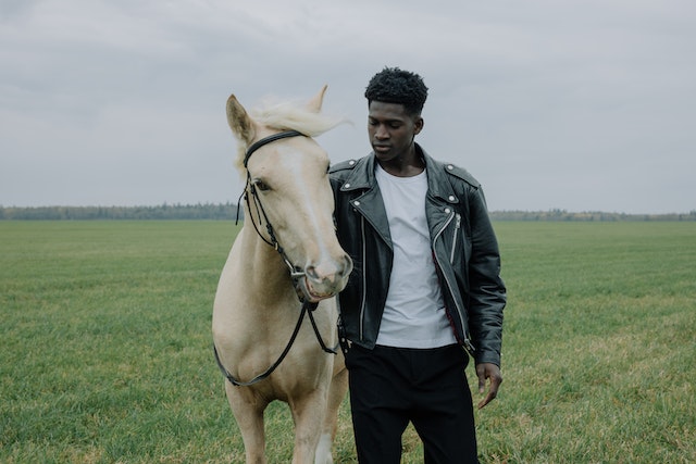 horse